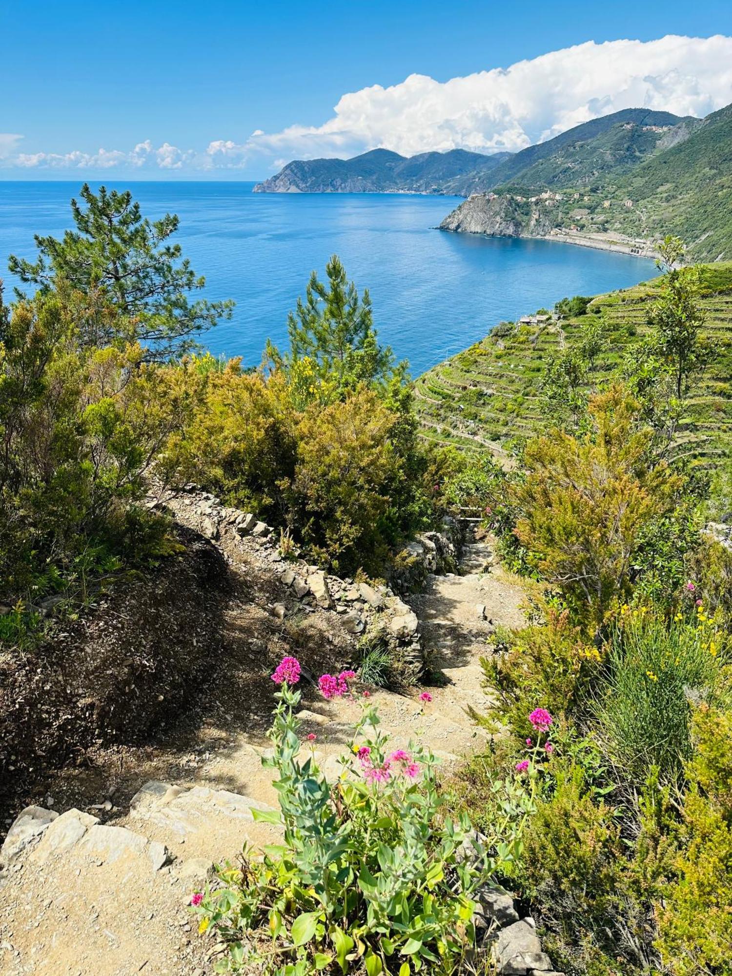 Al Castello 1 Hotel Riomaggiore Bagian luar foto